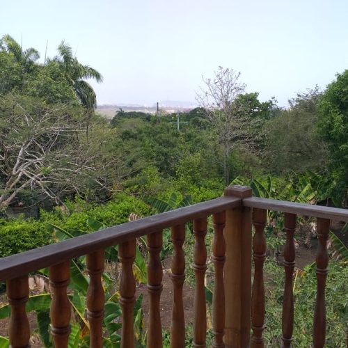 IMG-20250209-WA0211
