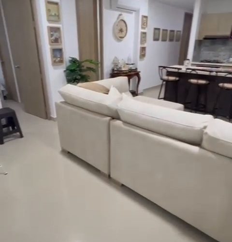 VID-20250322-WA0000_027