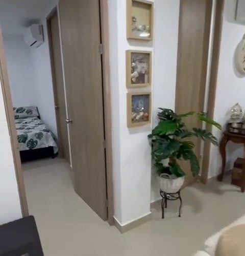 VID-20250322-WA0000_139